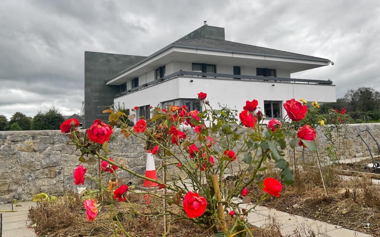 Hazelwood Country House Bed & Breakfast Adare Exterior photo