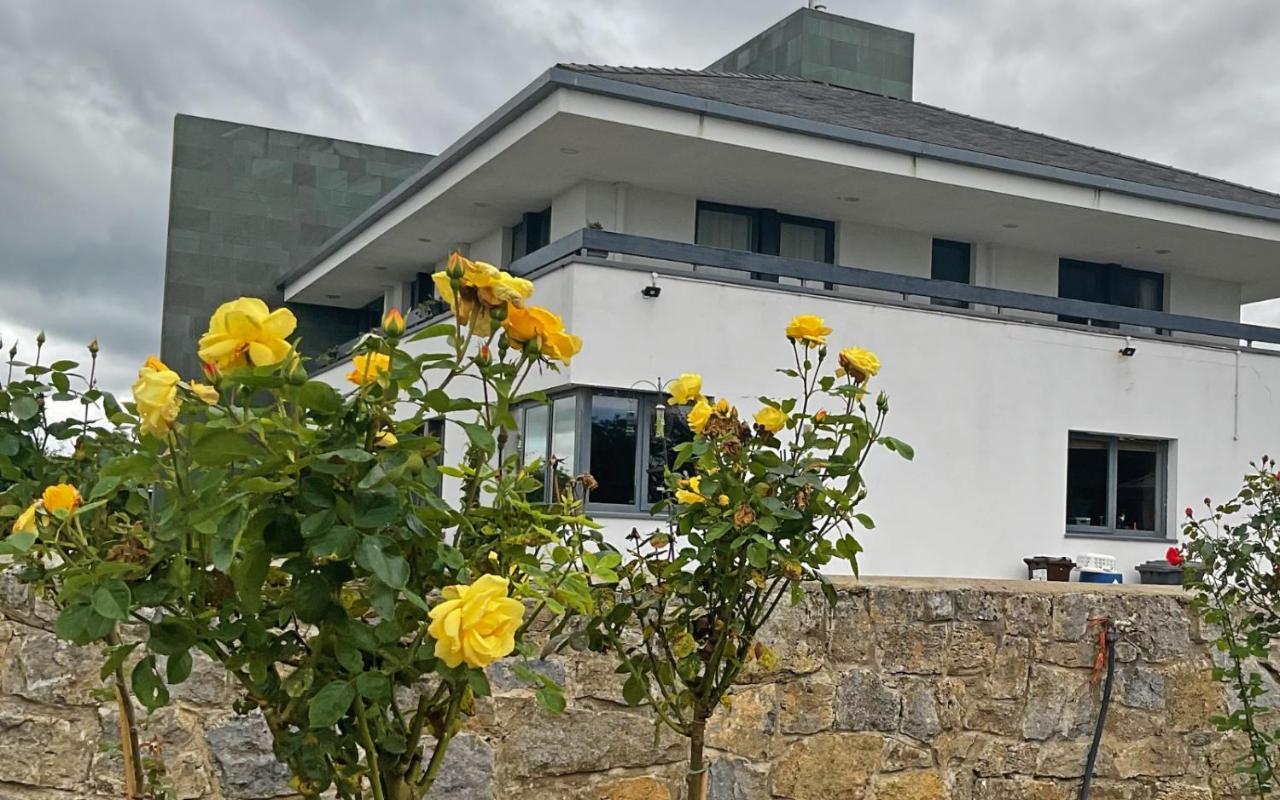 Hazelwood Country House Bed & Breakfast Adare Exterior photo