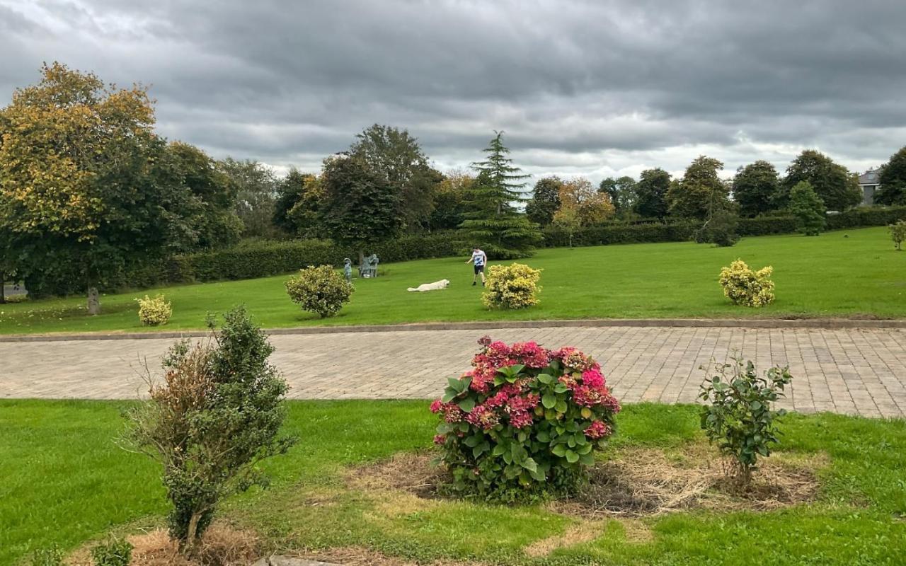 Hazelwood Country House Bed & Breakfast Adare Exterior photo